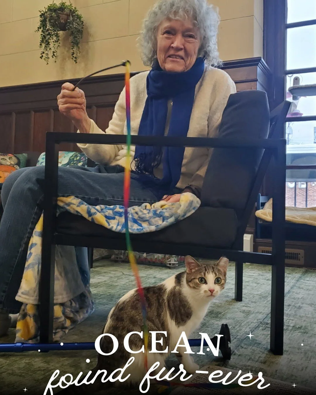 Making Waves! 🌊 We are so excited to share that Ocean has finally found her forever home! She has been with us since September and originally came in as a shy girl. With time, patience and love, Ocean grew comfortable and began showing off her beaut