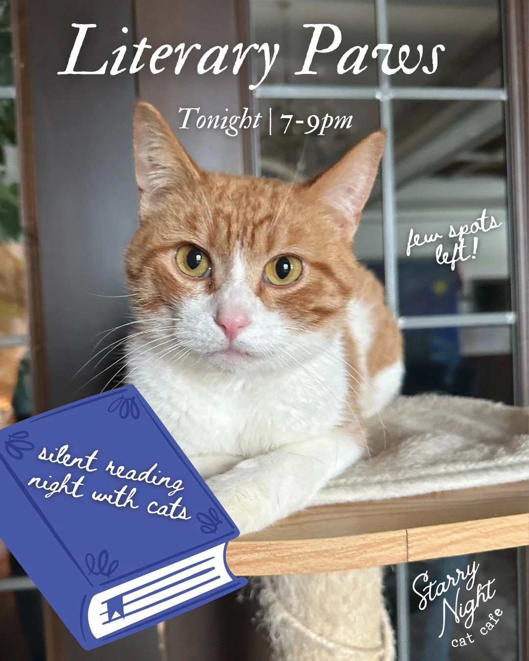Literary Paws is back TONIGHT  7-9pm 📚  Mooch wants you to know we&rsquo;ve got just a few spots left. 😻 Join us for Silent Reading with Cats from 7-8pm, followed by regular cat time from 8-9pm. That&rsquo;s 2 full hours in the cat room for just $1