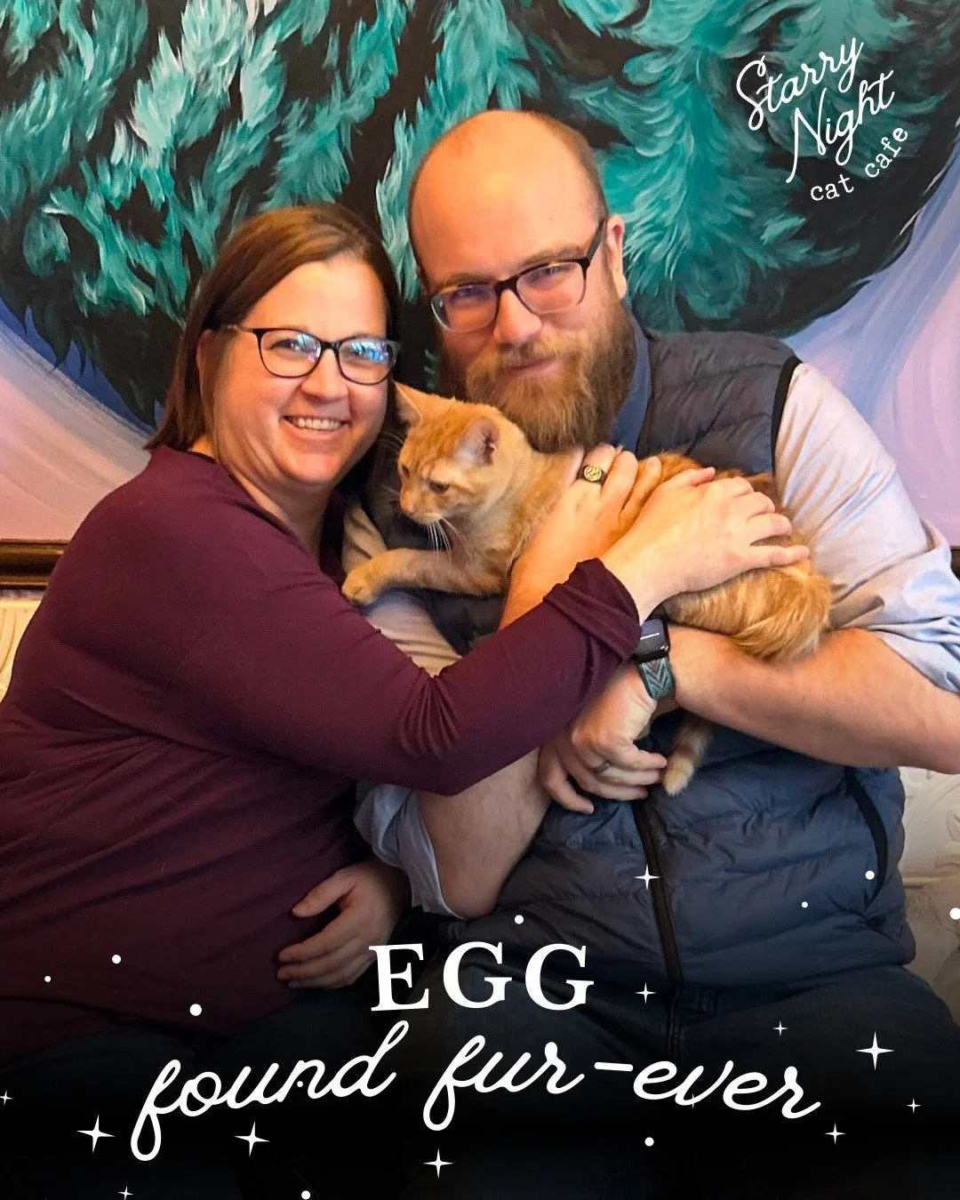 Sunny Side Is Definitely Up! ☀️ Egg, our adorable orange kitten, has cracked the code and found his furever home!  We&rsquo;re so excited to share that Egg is officially ✨#191 ✨ adopted at Starry Night Cat Cafe. 

A big Thank you to his adopters as t