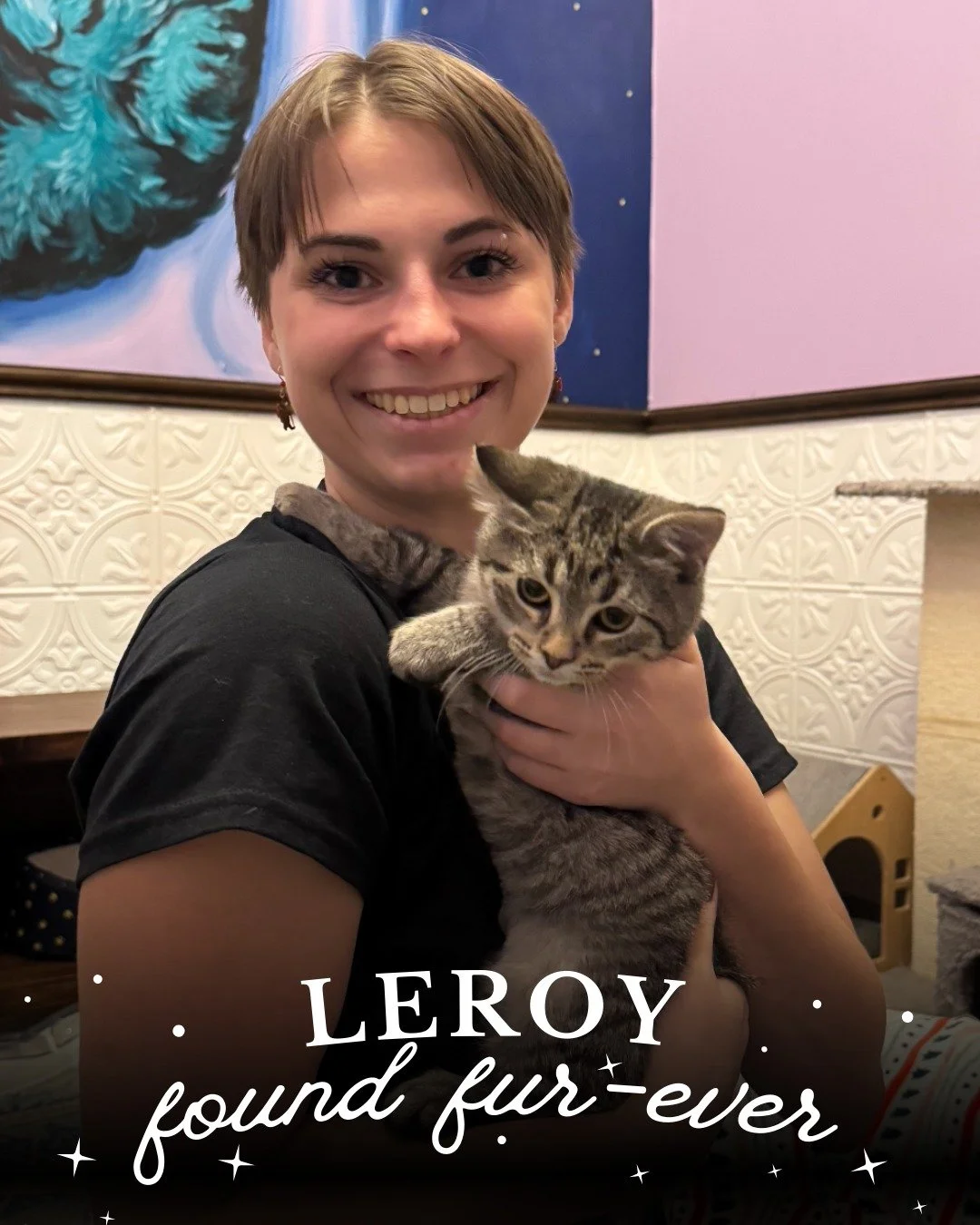 Leroy won the ultimate present this Christmas, a family to call his own! We&rsquo;re so excited for this sweet, floofy love nugget and his next chapter full of cuddles and joy. 

Leroy Jenkins is officially ✨#194 ✨ adopted at Starry Night Cat Cafe.  
