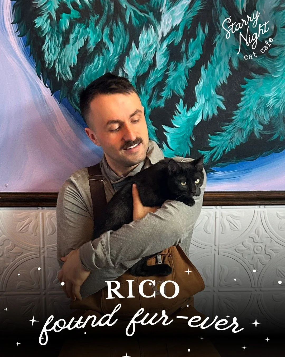 Mission Complete 🎬 Rico&rsquo;s next mission is officially underway and it&rsquo;s called a furever home. We&rsquo;re thrilled to share that Rico has been adopted and is ✨#206✨ at Starry Night Cat Cafe 

Come meet our fosters from Humane Society of 