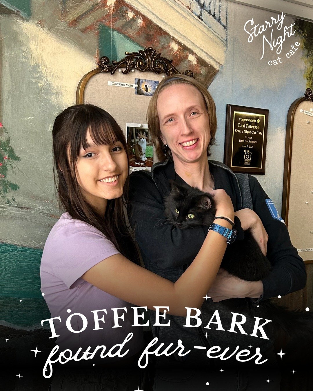 Sweet News! 🍬 Toffee Bark has officially found her furever home! 🐾💛 This floofy sweetheart captured hearts fast and we&rsquo;re so excited for her next chapter filled with love and cuddles. Toffee Bark is ✨#208✨ adopted at Starry Night Cat Cafe. 
