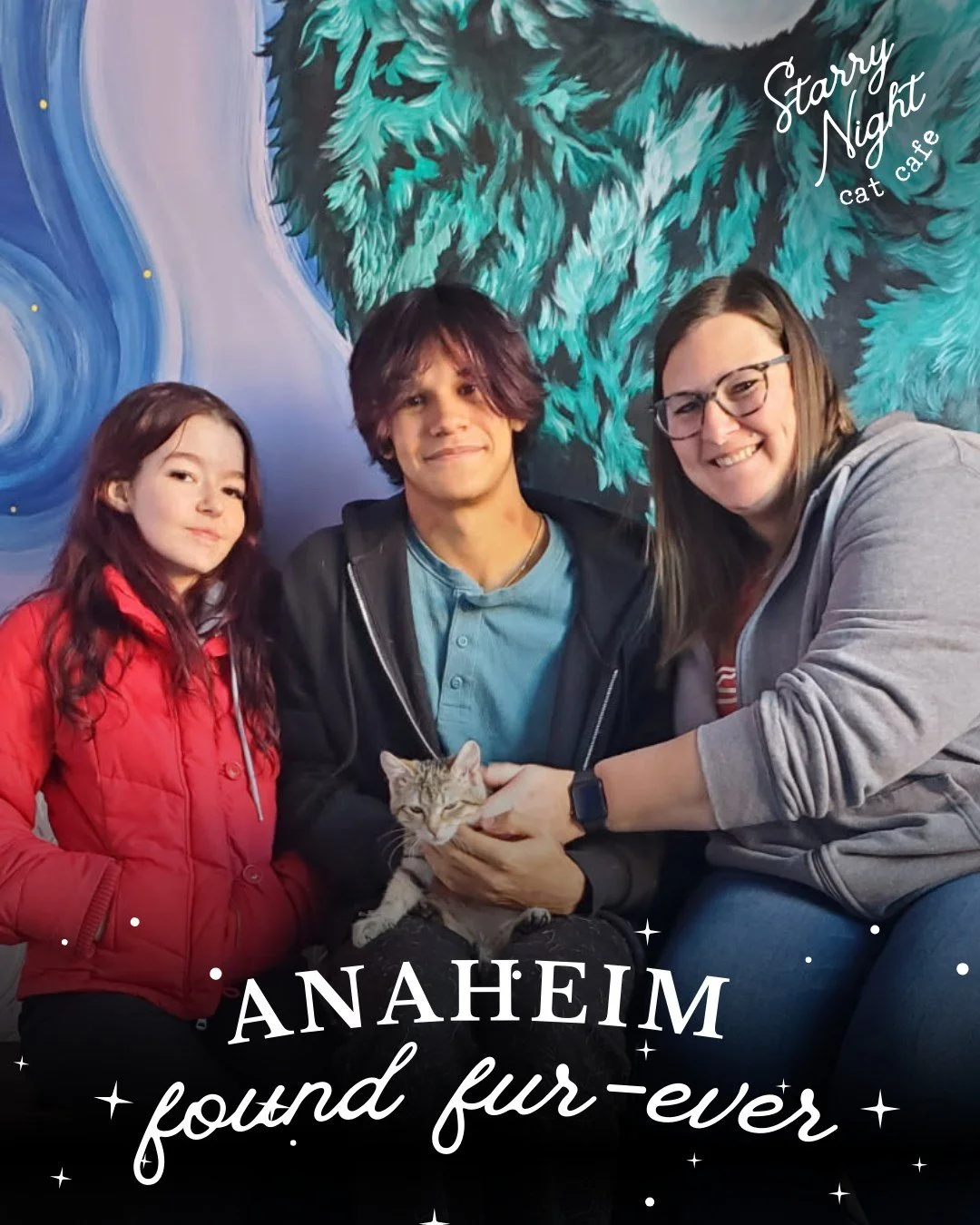 Happy Tails 💛 Sweet Anaheim has found her furever home and our hearts are full. We&rsquo;re so excited for her and her new family. Anaheim is officially ✨#209 ✨ adopted at Starry Night Cat Cafe. 

Ready to come play with our fosters from Humane Soci