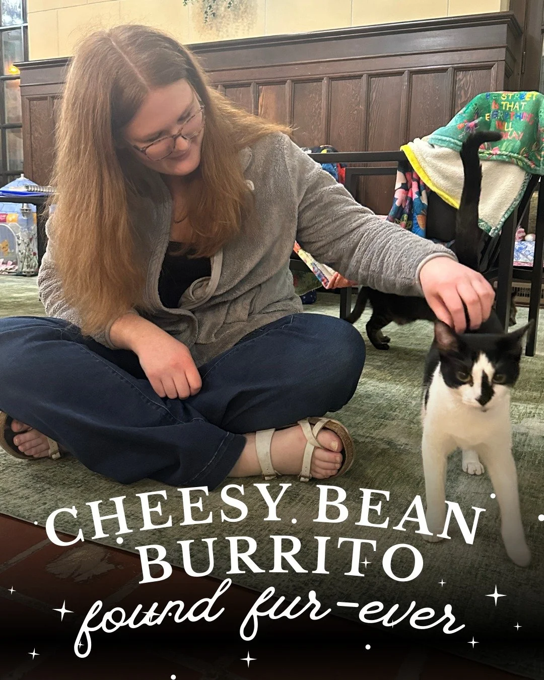 That&rsquo;s a Wrap 🌯 Cheesy Bean Burrito has officially wrapped up their time at Starry Night and on their way to a forever home! Congrats Cheesy on being ✨#225✨ adopted at Starry Night Cat Cafe. We&rsquo;re so excited for this sweet kitty&rsquo;s 