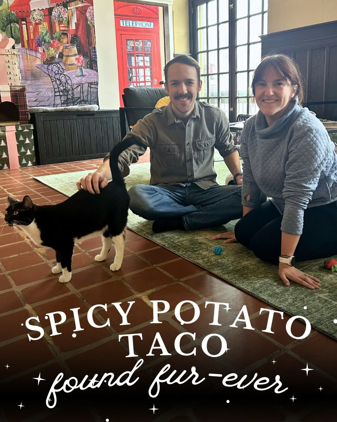 Taco &lsquo;Bout Great News! 🌮 Spicy Potato Taco has found his furever home and  is officially ✨#227✨ adopted at Starry Night Cat Cafe! This sweet and spicy kitty cat was so fun to get to know and we're so excited for him to be with his new family. 