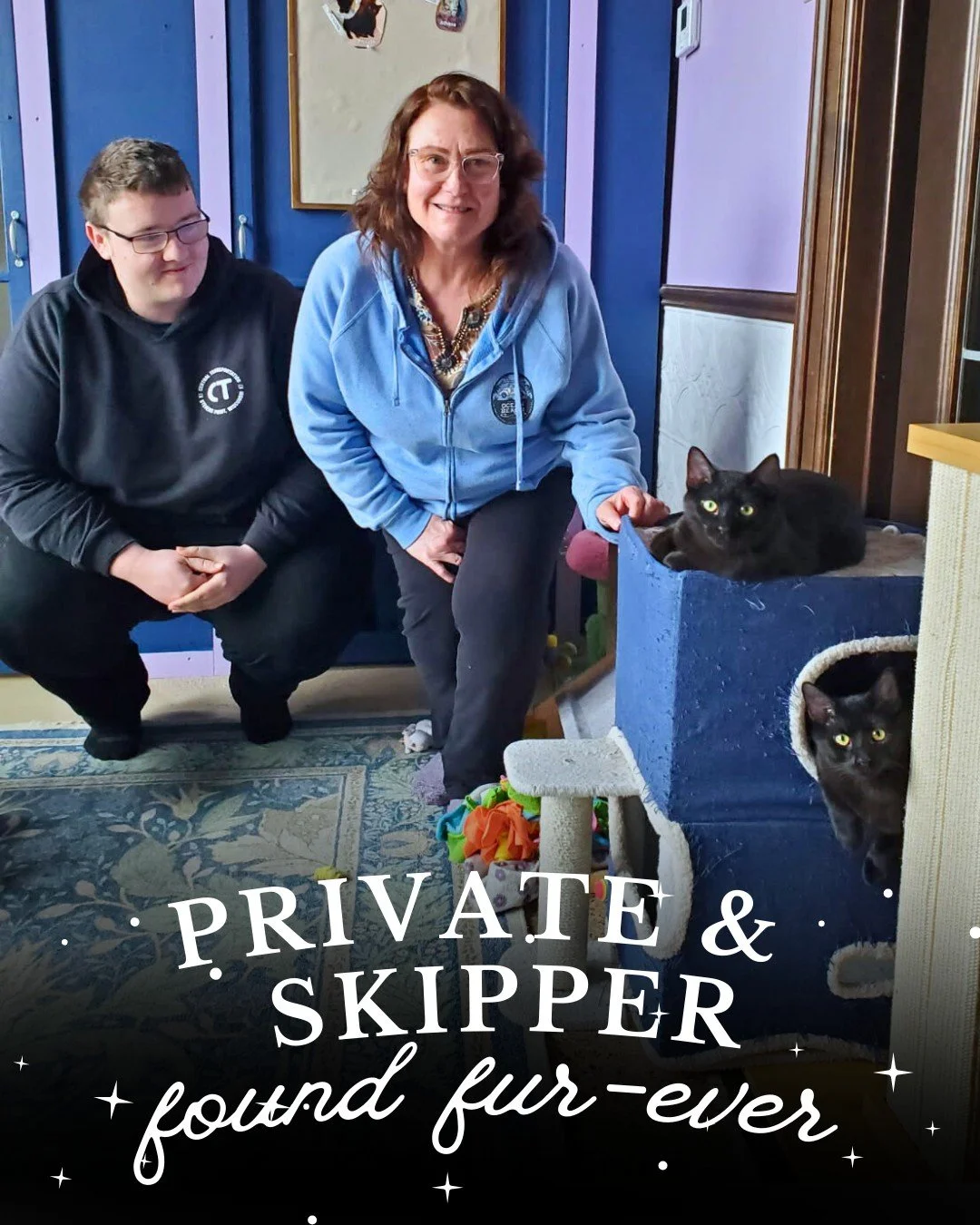 Operation: Forever Home 💥🐧 Private &amp; Skipper have officially secured their furever home! Mission complete &amp; Adoption successful!  Congrats Private &amp; Skipper are being ✨#228 &amp; 229✨ adopted with Starry Night Cat Cafe. 

Come play with