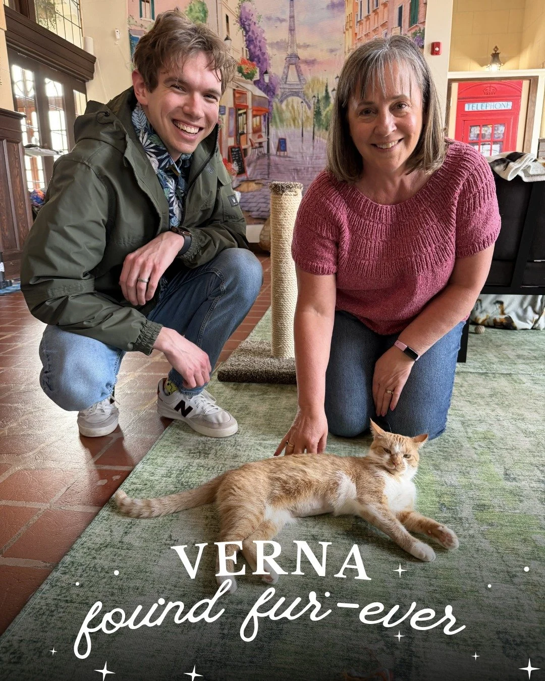 Orange-Tastic News! 🍊 Verna has found her furever home! This playful, lovable orange girl kept us all smiling and now she gets to bring that same joy to her new family. Verna is officially ✨#237✨ adopted at Starry Night Cat Cafe.

Visit our fosters 