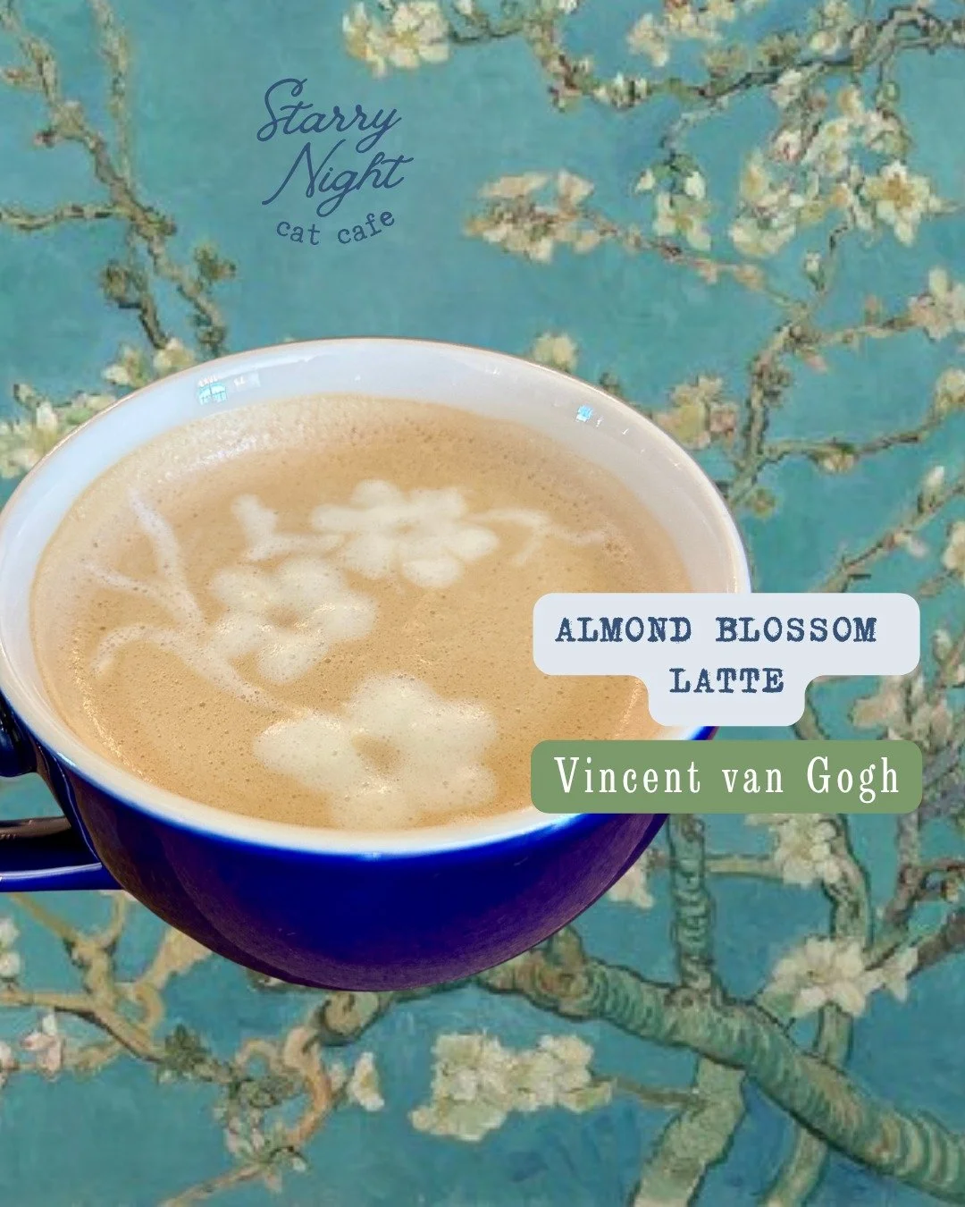Last Week to try our Art in Bloom Specials 🌸 Have you sipped the Almond Blossom Latte yet? Get it hot or iced! 

⏰ M-F 2-9pm, Sat 9-9pm &amp; Sun 9-5pm 
🫶 Every sip helps shelter cats get adopted 
☕ Coffee Shop is Cat Free Zone

#starrynightcatcafe