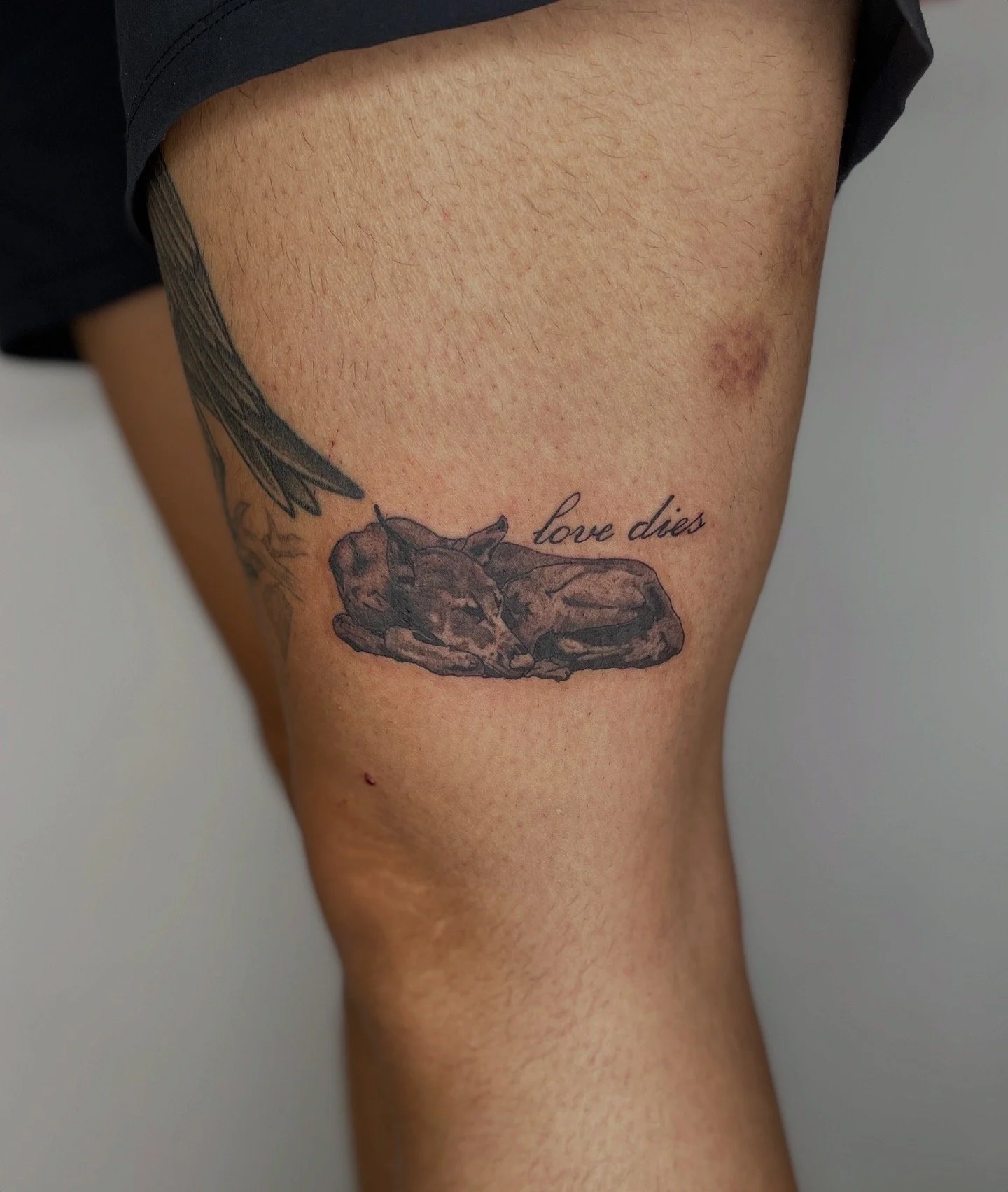 September 2025 Newsletter