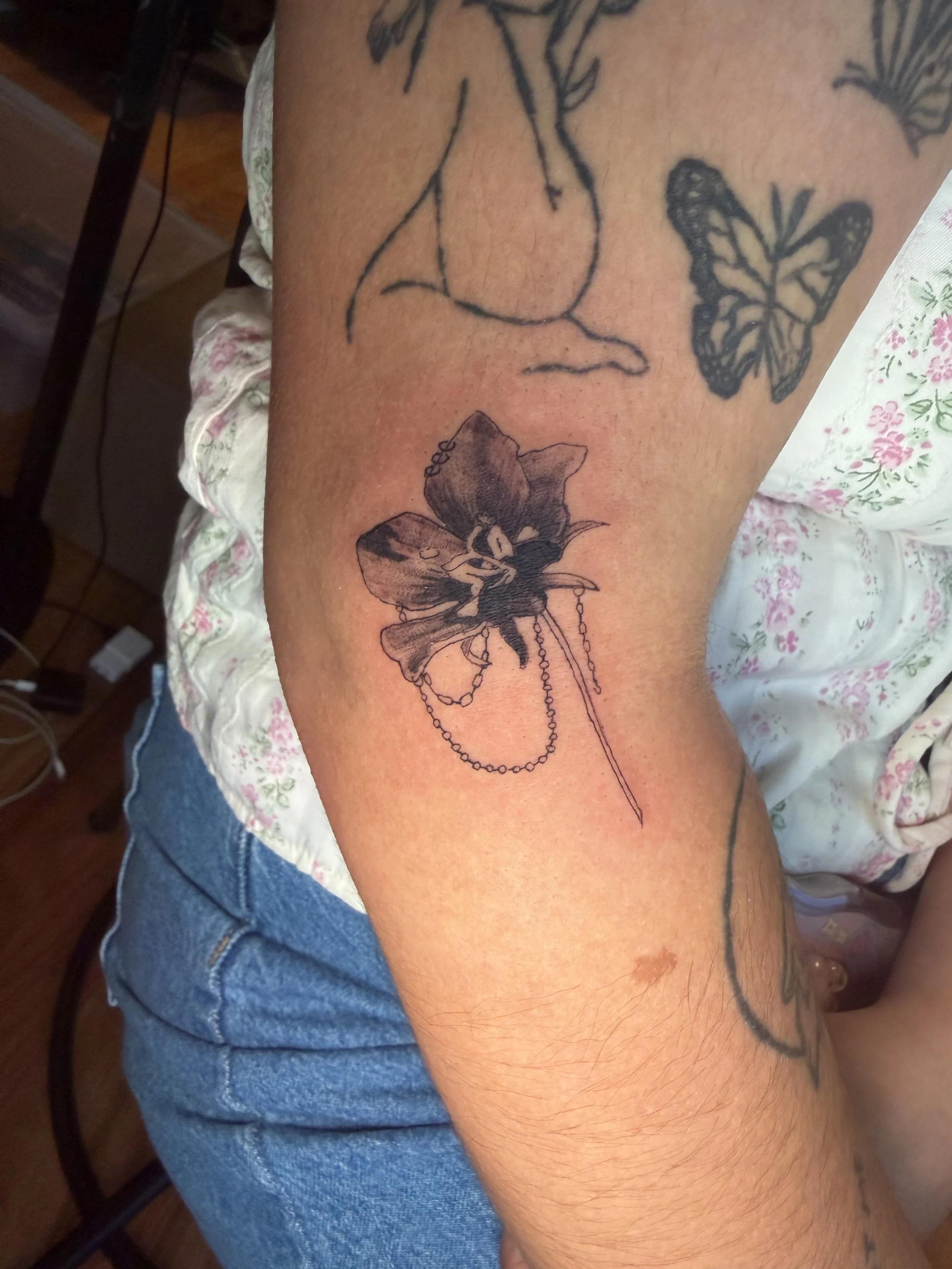 IMG_3850.jpeg