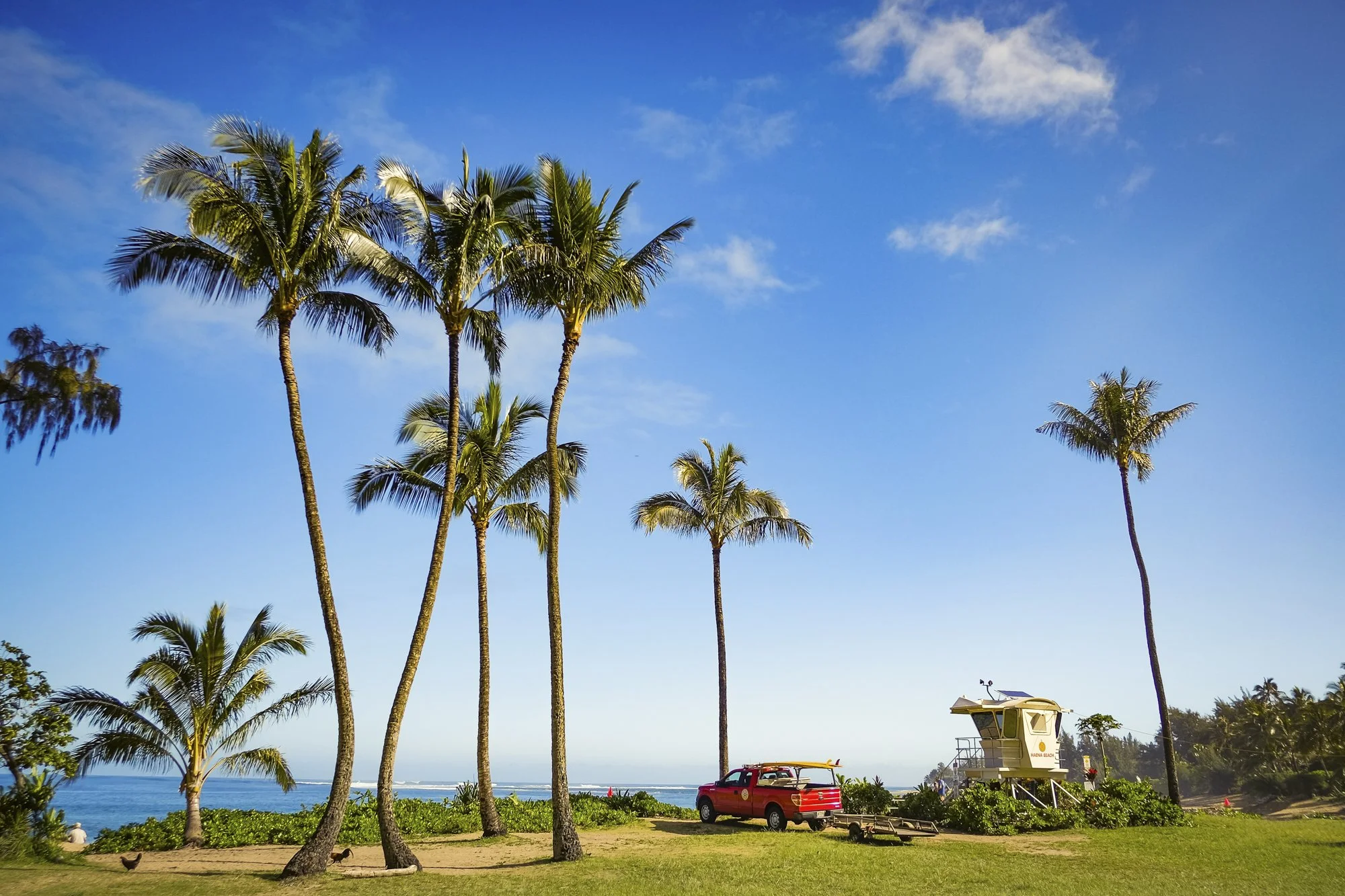 24-05_2018_HI180230_ HaenaBeach_WebGallery.jpg