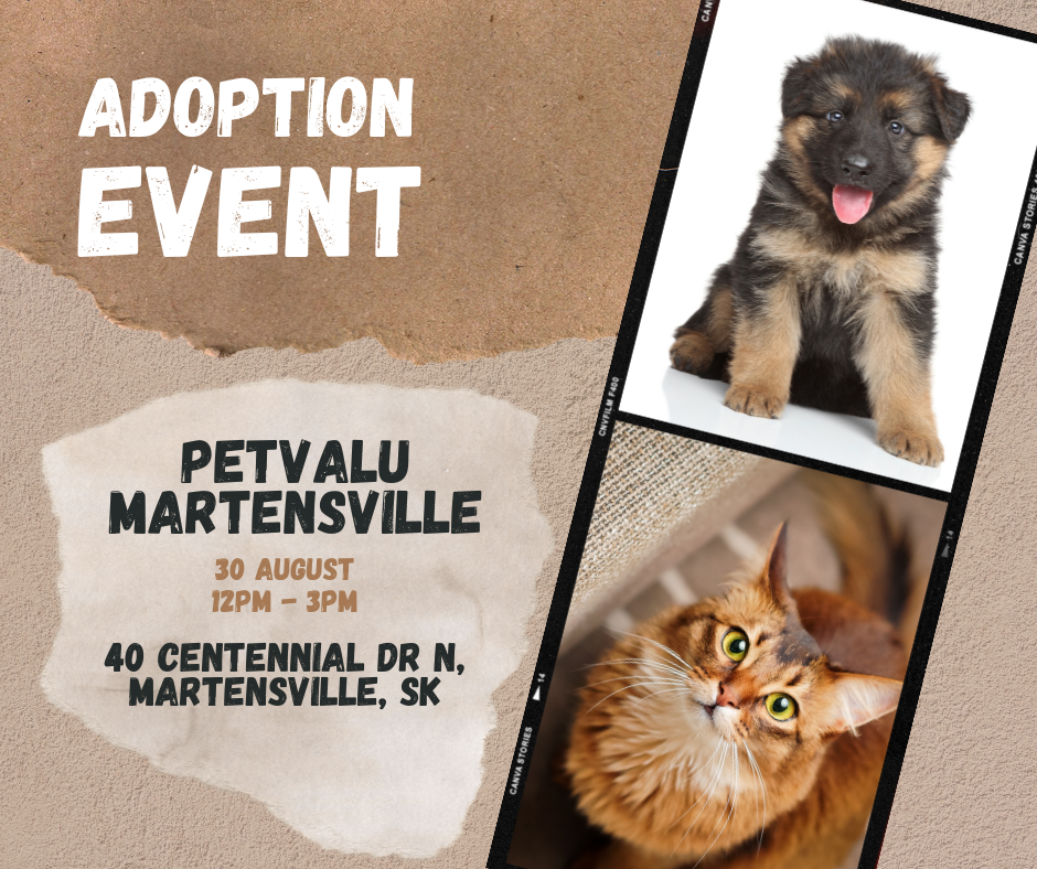 Adoption Event
