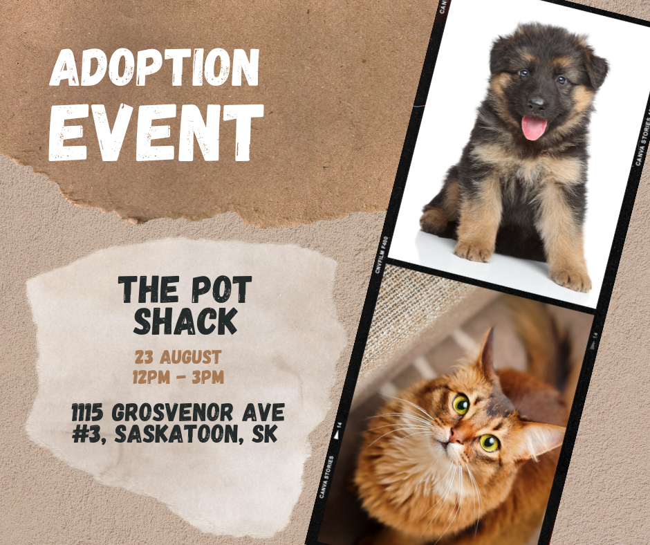 Adoption Event