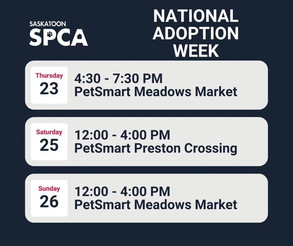 πΎ It’s National Adoption Week! πΎ
Looking to add a furry friend to your family? We’ll have adoptable pets ready to meet you at PetSmart this week!
π PetSmart Meadows Market
π Thursday, October 23 | 4:30pm – 7:30pm
π Sunday, Oc