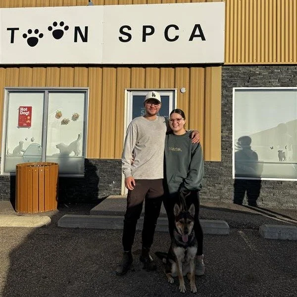 Trixie and Dusty have found their forever homes! πΎ
After spending far too long waiting in the shelter, both Trixie and Dusty have finally found families to call their own. Our staff couldn’t be happier to see these two wonderful dogs start th