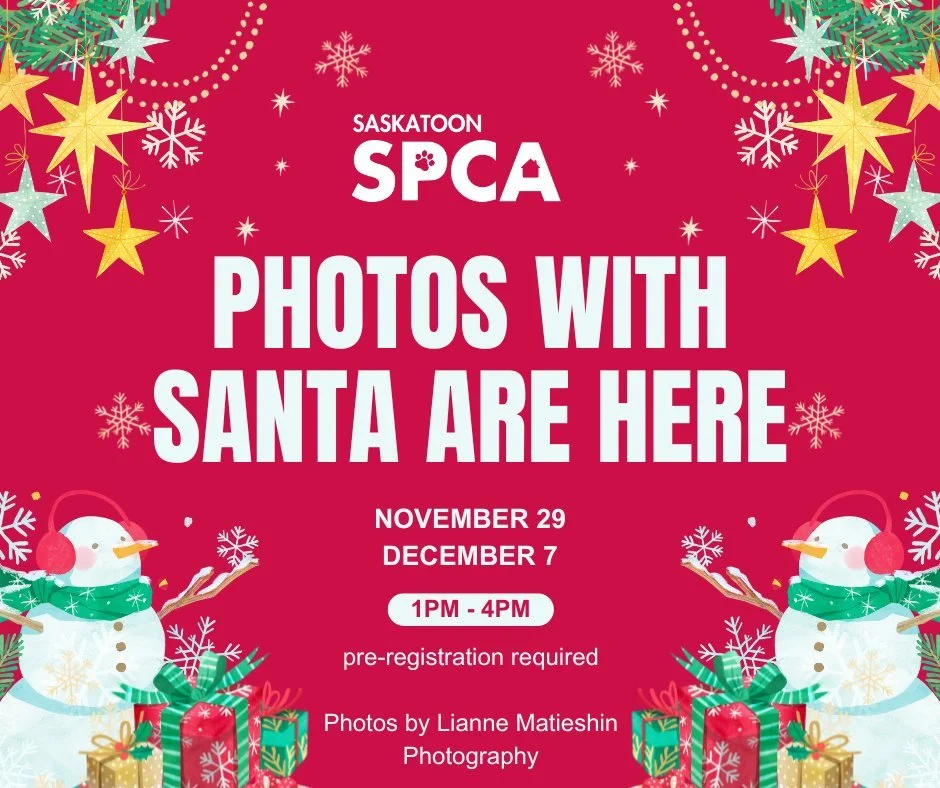 🎄 Santa photos at the Saskatoon SPCA are happening!
📆 Nov 29 &amp; Dec 7
📍 2250 Hanselman Ave., Saskatoon

📷 Up to 5-minute session with @liannemphoto (yes, pets of all kinds are welcome!)
💖 Your $30 donation goes directly to help animals in our