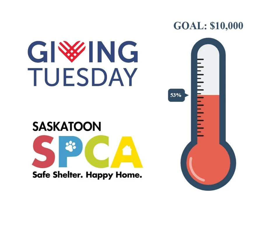 Thank you to everyone who has donated for Giving Tuesday. Your kindness has helped us get more than halfway to our $10,000 goal, and we are so grateful.

If you have not given yet, today is a great day to help local animals. Giving Tuesday is a big d