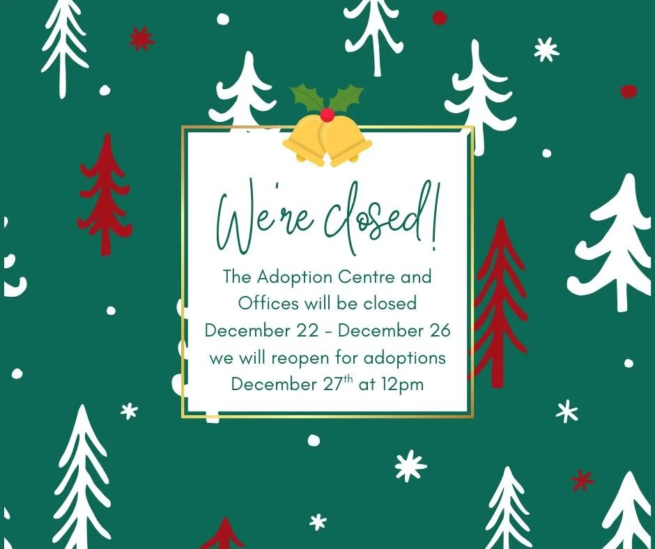 Please note that the Saskatoon SPCA offices and adoption centre will be closed from December 22 to December 26.

We will resume regular adoption hours on Saturday, December 27, from 12:00 pm to 4:30 pm.

Thank you for your understanding, and we wish 