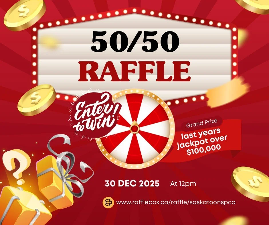 ⏰ One week left to get your Saskatoon SPCA 50/50 raffle tickets! ⏰

There is only one week remaining to buy tickets for our 50/50 raffle. The draw takes place on December 30 at 12:00 noon, so do not wait.

Last year&rsquo;s raffle went over $100,000,
