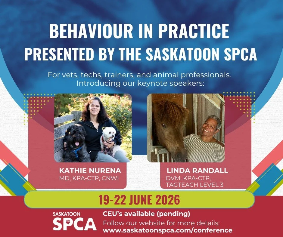 Save the date. The Saskatoon SPCA is proud to announce Behaviour in Practice, a three-day professional conference focused on animal behaviour, welfare, and humane, science-based care.

June 19 to 21, 2026
Saskatoon, SK

We are excited to introduce ou
