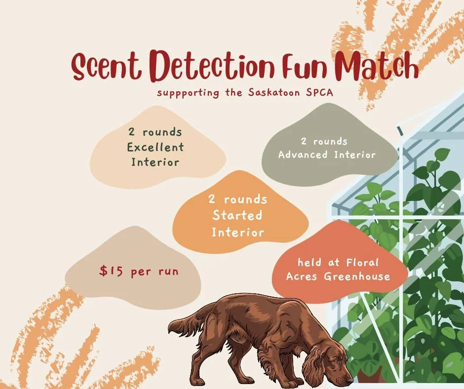 🐾 Scent Detection Fun Match to support the Saskatoon SPCA 🐾

Get ready for scent detection season while supporting animals in need.

The Saskatoon SPCA is hosting a Scent Detection Fun Match, with all proceeds going directly to help animals in our 