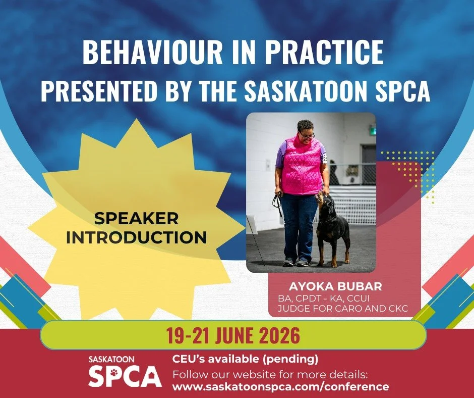 Speaker announcement.

We are thrilled to welcome Ayoka Bubar to the lineup for Behaviour in Practice, the Saskatoon SPCA&rsquo;s animal behaviour conference taking place June 19 to 21, 2026.

Ayoka brings a wealth of experience as a dog trainer, ins