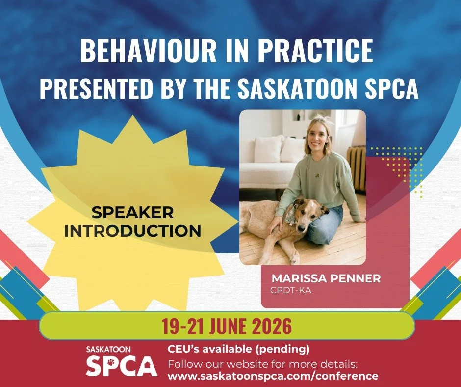 We&rsquo;re excited to welcome Marissa Penner to the lineup for Behaviour in Practice, happening June 19 to 21, 2026.

Marissa is a Certified Professional Dog Trainer through the CCPDT and the owner of Strides Dog Training, one of the few positive re