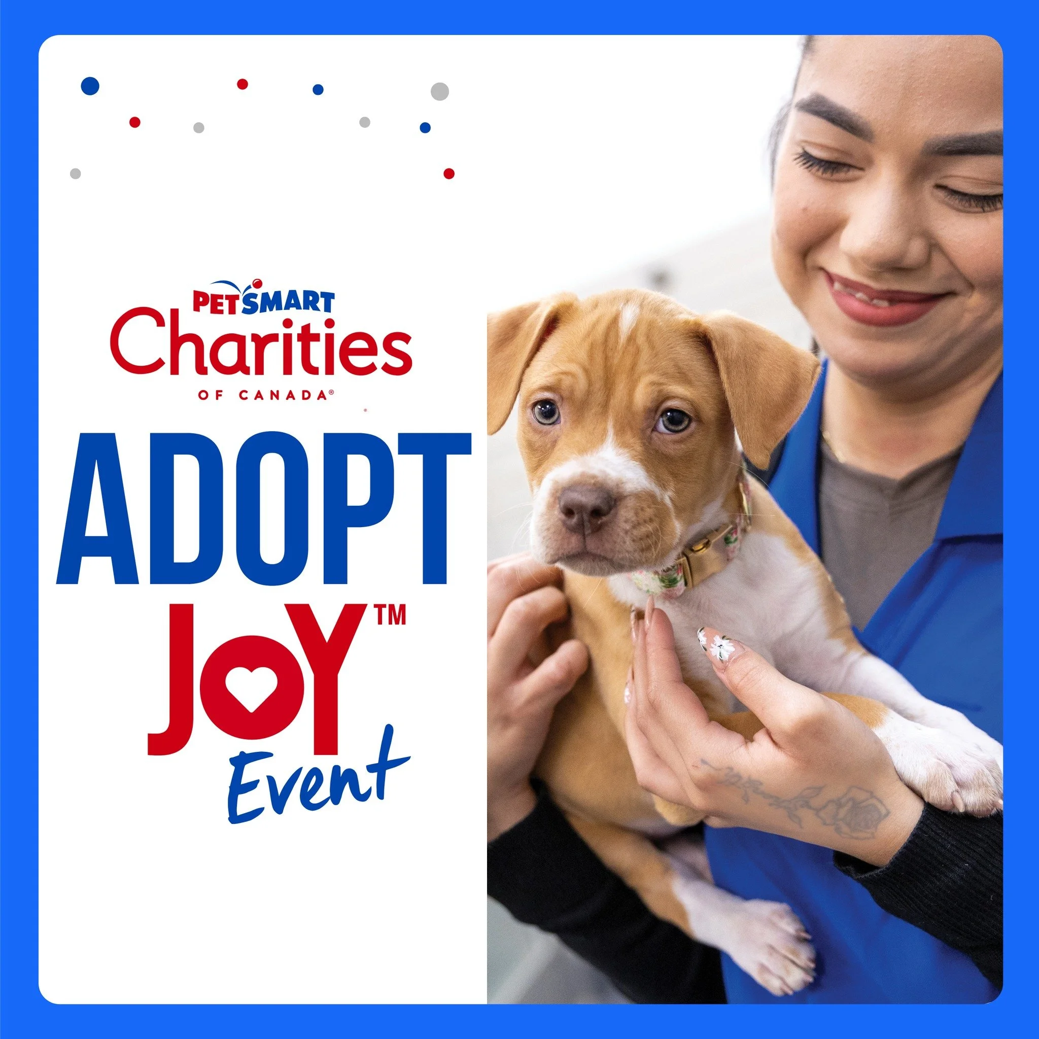 🐾🎉 Adopt Joy&trade; is Happening Tomorrow! 🎉🐾

The Saskatoon SPCA will be at PetSmart Meadows Market tomorrow to celebrate Adopt Joy&trade; with PetSmart Charities of Canada &mdash; and we are bringing adoptable dogs with us!

📅 Saturday, Februa