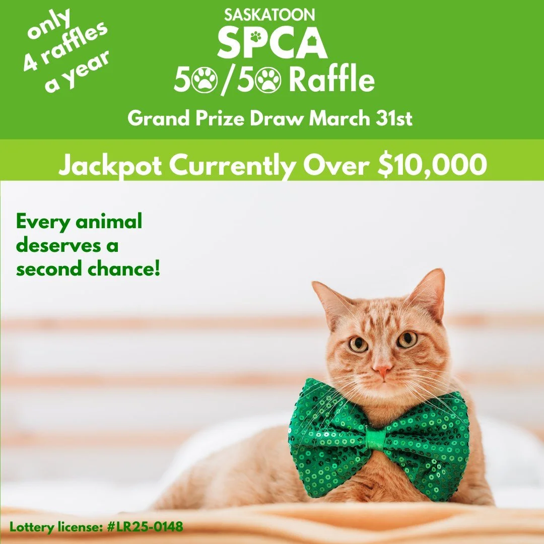🚨 $10,000+ and growing! 🚨

Our March 50/50 jackpot is climbing fast.

Past jackpots have topped $100,000.
Next winner could be you.

🎟️ Get your tickets today
📅 Draw date: March 31
🔗 https://www.rafflebox.ca/raffle/saskatoonspca

Win big. Help a
