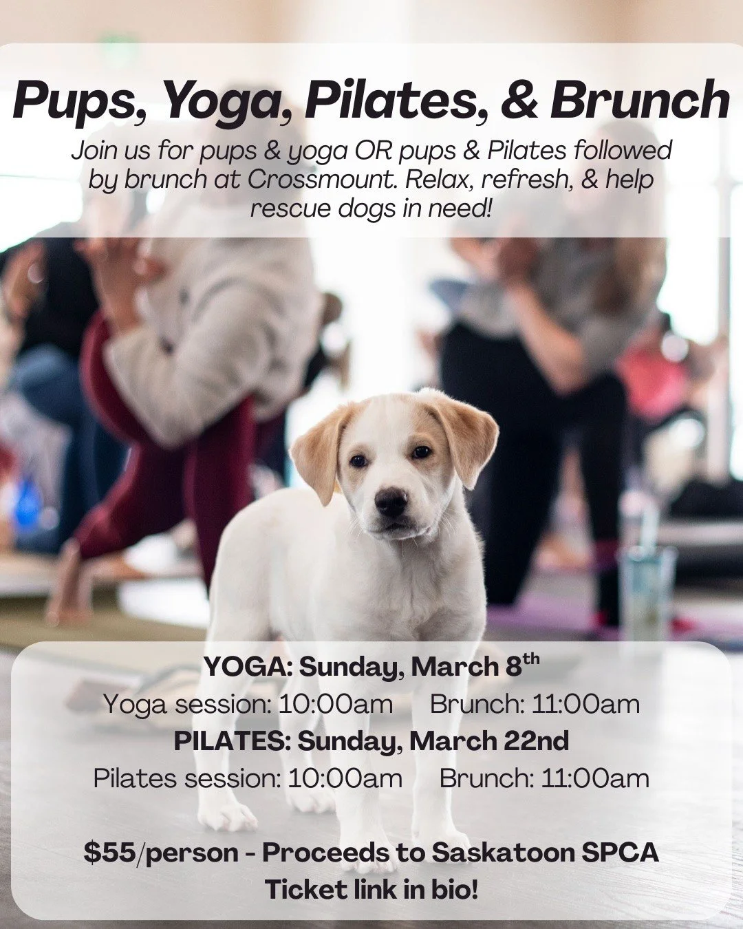 Puppy cuddles + yoga + brunch? Yes please. 🐶🧘&zwj;♀️🥂

Join us on Sunday, March 8 at The Glen at Crossmount for Yoga &amp; Pups in support of the Saskatoon SPCA.

This special session is led by Ground Yoga and includes plenty of adorable puppies j