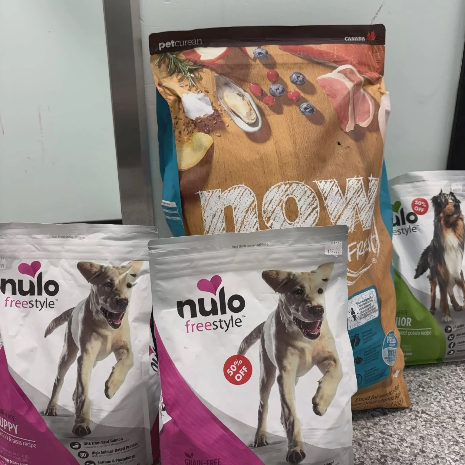 🐾 Thank You to Our Local Pet Store Partners! 🐾

We are so grateful for the many local pet stores around Saskatoon that regularly support the animals in our care. This week, we received a generous donation from Pet Planet University Heights, and it 