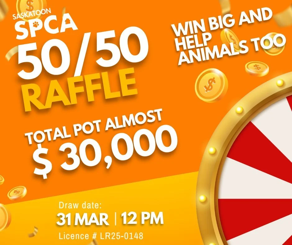 Our 50/50 raffle is getting close to $30,000 and still growing every day 👀

Every ticket helps provide food, medical care, and a safe place for animals who need us most. And yes&hellip; one lucky supporter will take home half the pot.

It&rsquo;s a 