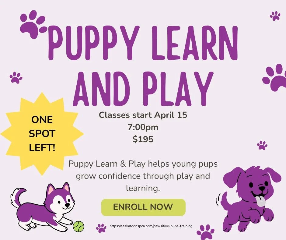 🐾 Training classes starting April 15 &ndash; don&rsquo;t miss out! 🐾

We still have spots available in two of our Pawsitive Pups classes at the Saskatoon SPCA &mdash; and they&rsquo;re both great options depending on where your dog is at in their t