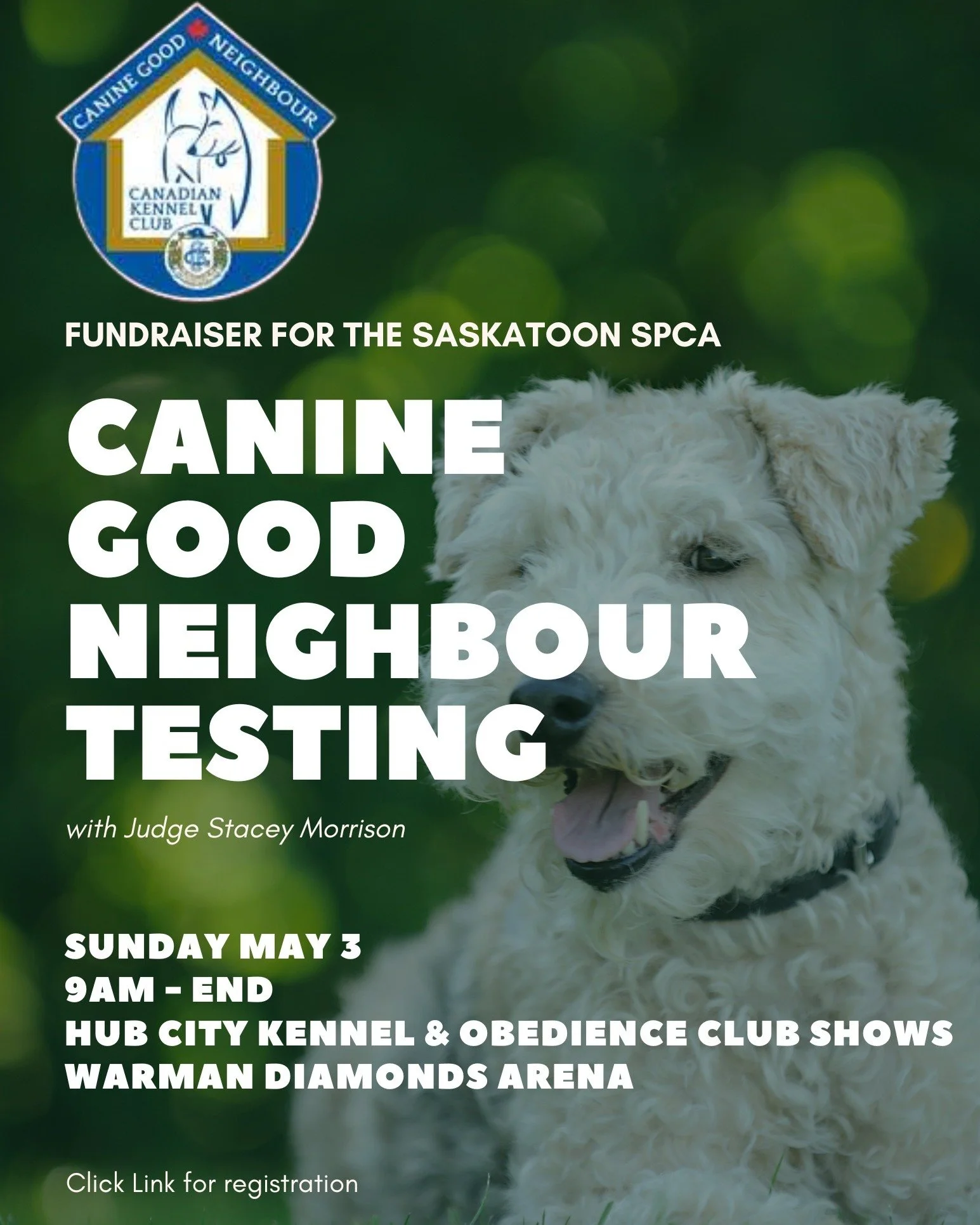 Looking to put your dog&rsquo;s skills to the test?

Join us at the Saskatoon SPCA for our Canine Good Neighbour Test on Sunday, May 3, starting at 9:00 AM.

This nationally recognized test is a great way to show off your dog&rsquo;s manners, confide