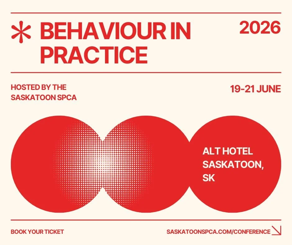 🐾 Don&rsquo;t Miss Out | Behaviour in Practice Conference 🐾

Tickets are continuing to sell for the Saskatoon SPCA&rsquo;s Behaviour in Practice Conference, and we don&rsquo;t want you to miss your spot.

This is more than just a series of talks. I