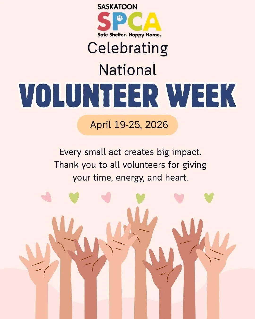 As we wrap up National Volunteer Week, we want to take a moment to say a heartfelt thank you to every single person who gives their time to the Saskatoon SPCA.

Volunteering at an animal shelter is not always what people expect. Yes, there are moment