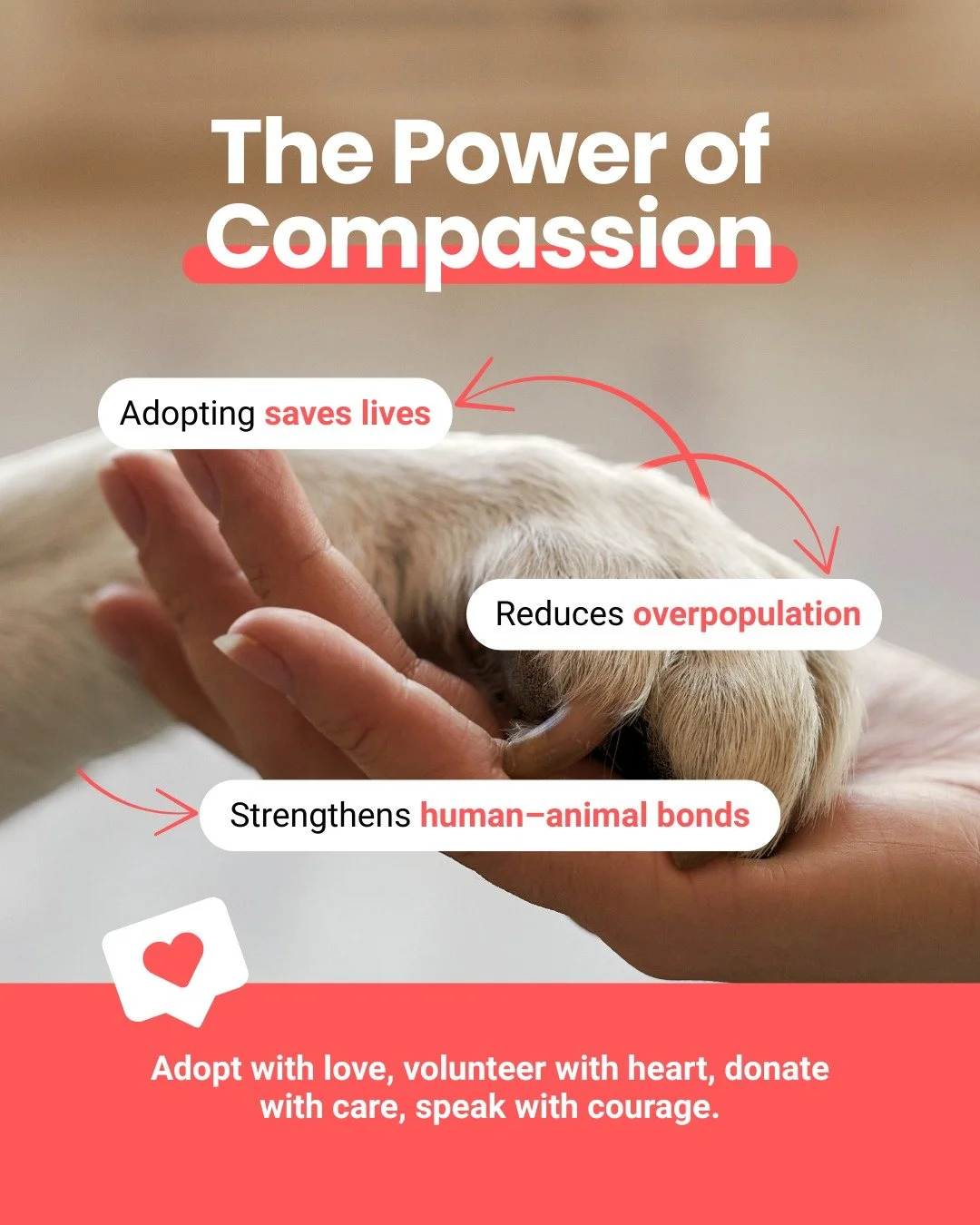 Today is National Adopt a Shelter Pet Day, and there&rsquo;s no better time to meet your new best friend.

Every animal in our care is waiting for a second chance. They are ready to bring joy, companionship, and a whole lot of love into your life. Wh