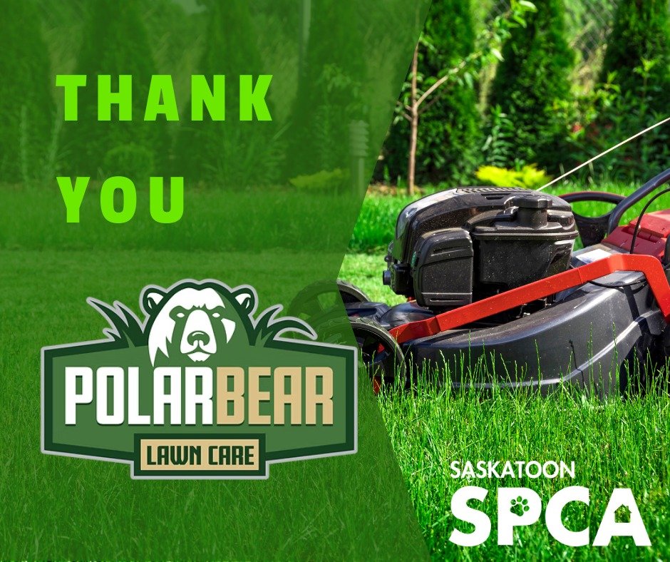 A huge thank you to Polar Bear Lawn Care for stepping up to support the Saskatoon SPCA in a big way this summer!

Not only are they generously donating their time and supplies to maintain our lawn all season long, but they are also giving back in ano