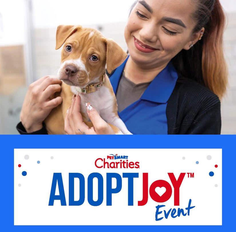 PetSmart Adopt Joy