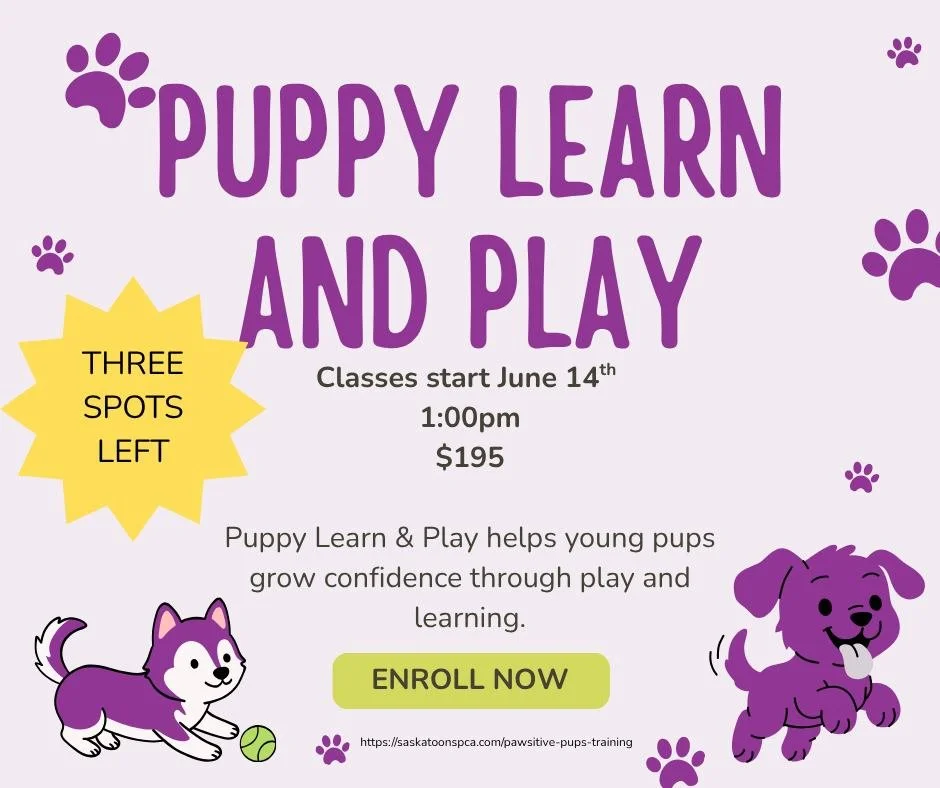 🐾 New Class Start Date Alert! 🐾

Our Puppy Learn &amp; Play and Awesome Obedience classes will now begin on June 14!

Whether you've just welcomed a new puppy into your family or you're looking to build better manners and communication with your do