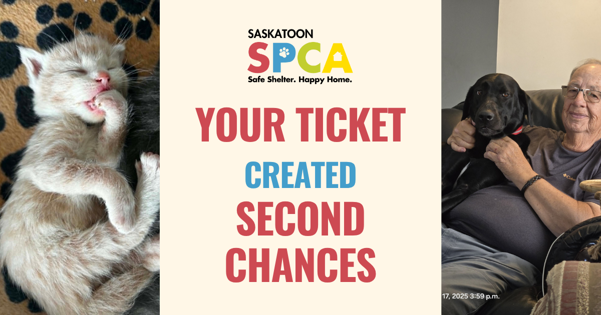Recent Saskatoon SPCA 50/50 Winners
