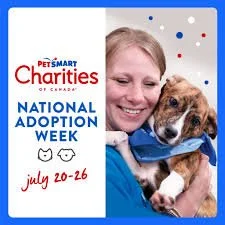 PetSmart Preston Adoption Event