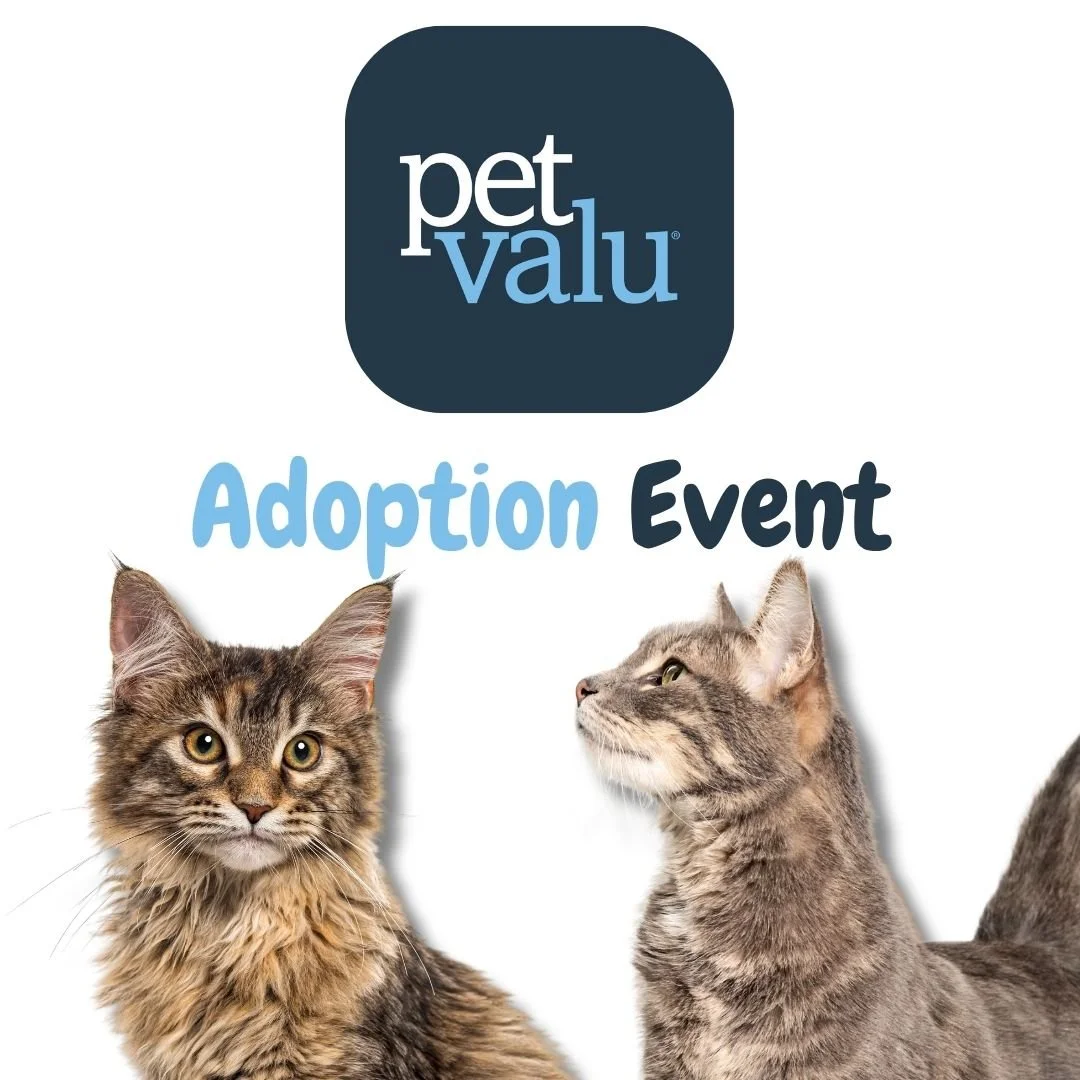 Pet Valu Martensville