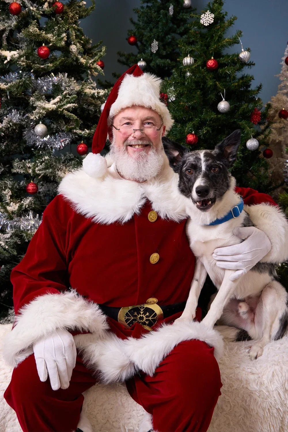 Santa Paws Is Coming to Town! Book Your Pet's Santa Photos and Support the Saskatoon SPCA