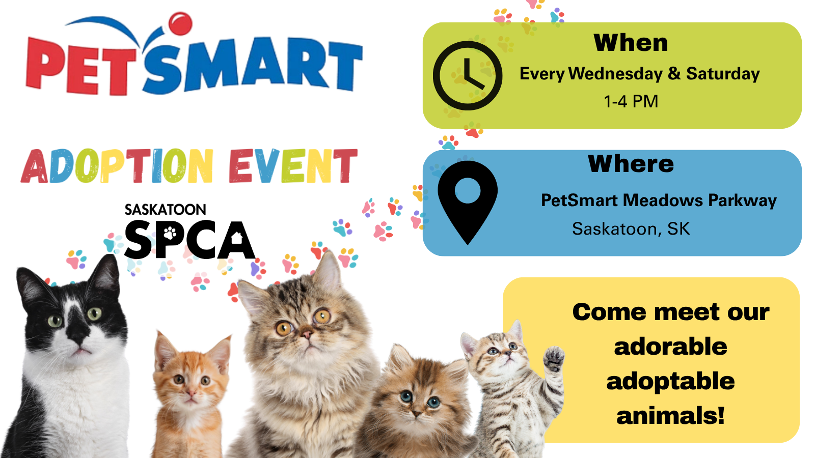 Adoption Event (12).png