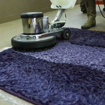 Removing Deep Stains and Allergens with Professional Carpet Cleaning Services