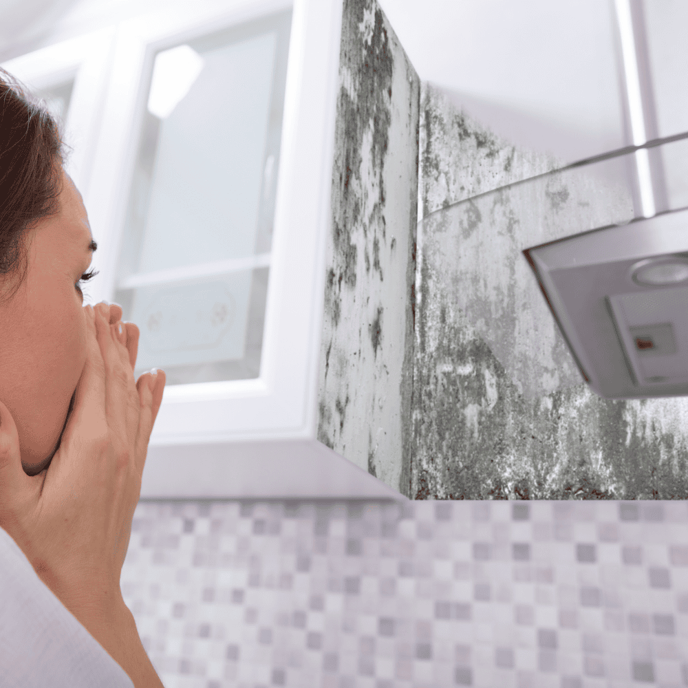 Microscopic view of dark mold spores spreading across a drywall surface inside a modern air-conditioned home in Goodyear, Arizona.