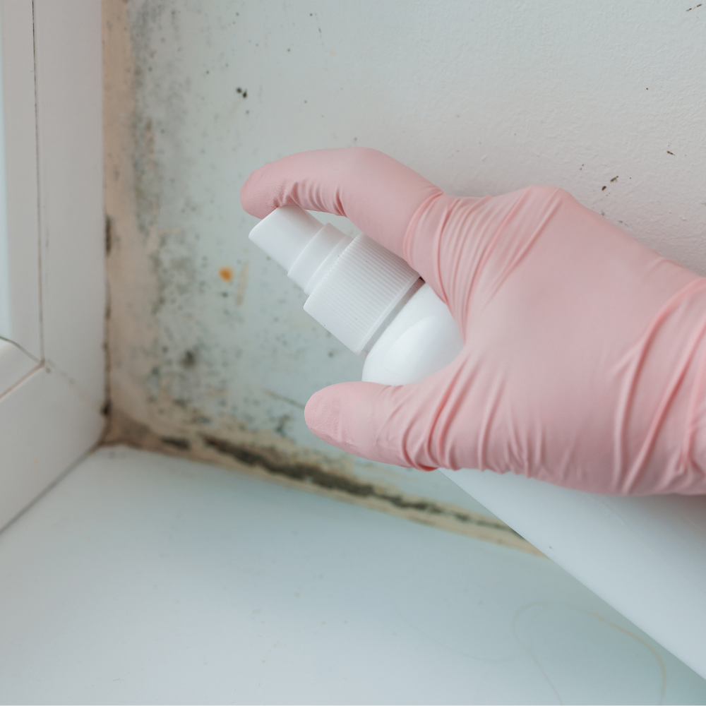 Close-up of a person cleaning a dust-clogged air conditioner filter over a sink to prevent household mold and mildew growth.