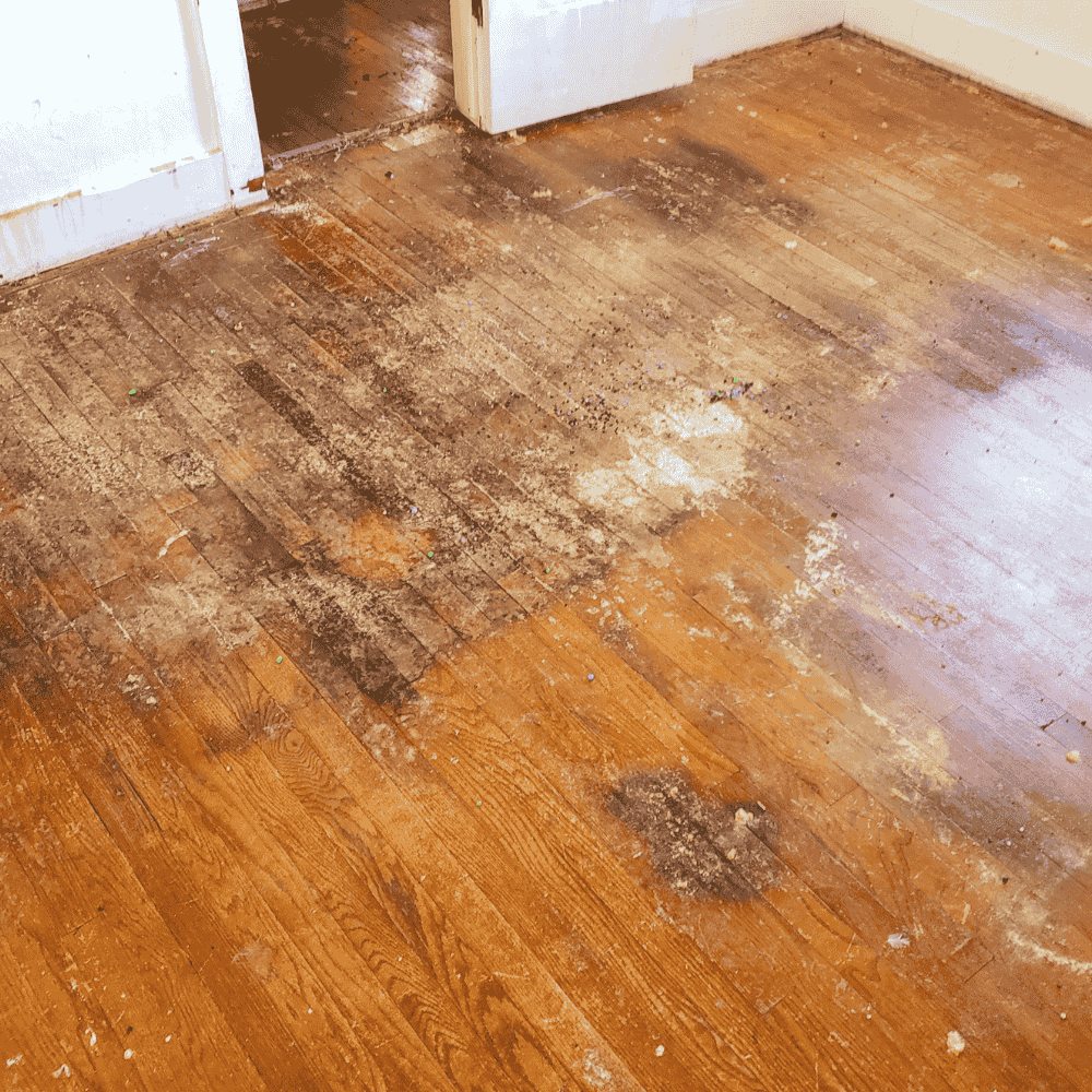 Explaining Mold Risks in Goodyear, AZ, Commercial Properties