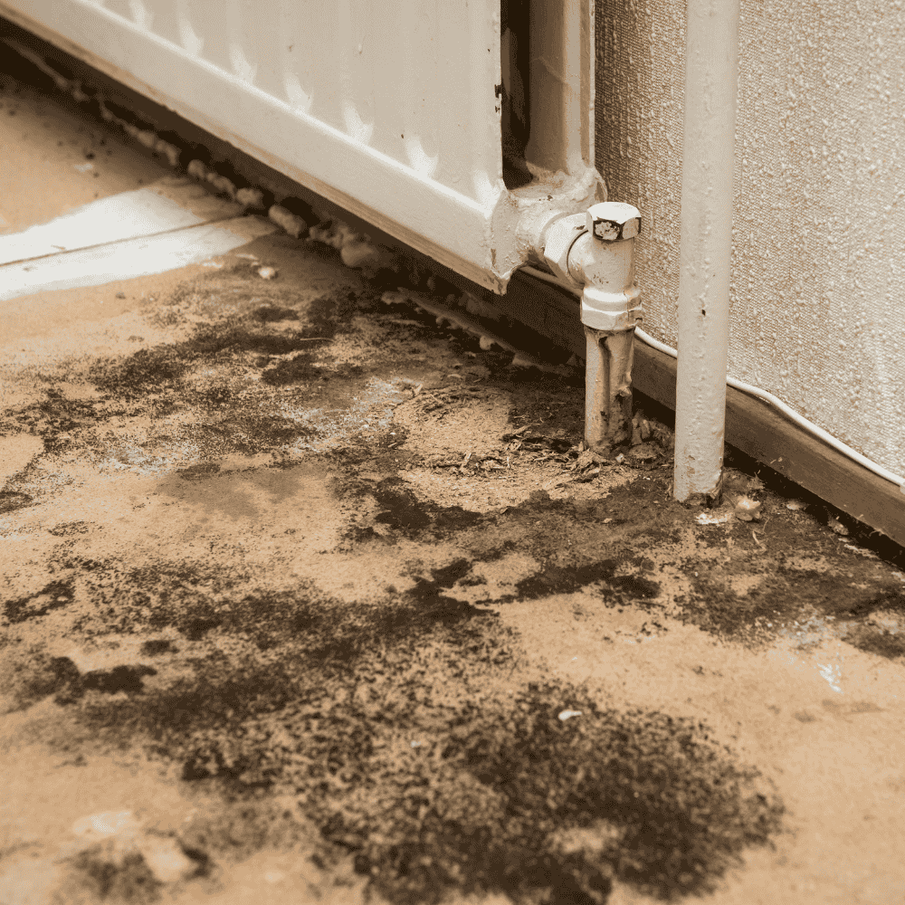 A close-up of dark mold growth on drywall behind a leaky desert home air conditioning unit in Goodyear, Arizona.